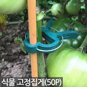 식물 화분 고정 집게 50P - 클립 핀 식물 꽃 지지대 줄기 작물 화초 난 덩쿨 넝쿨 줄기 끈 대 타이 철사 후크 분갈이 원예 용품 정리 오이 호박, Sein_식물고정집게 혼합형(50P), 50개