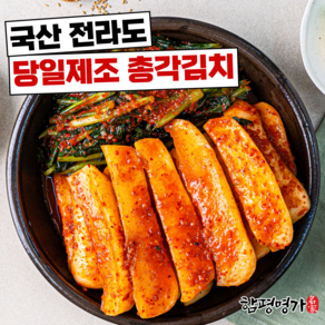 [함평명가] 100% 국산 당일제조 전라도 알타리 총각김치, 1개, 1kg