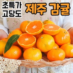 [정품] 제주 제주도 서귀포 산지직송 고당도 노지 하우스 귤 감귤 밀감, 1박스, 5kg(대과)