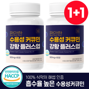 뉴트라업 수용성 커큐민 강황 플러스업 식약청인증 HACCP, 2개, 60정