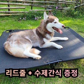 그램도그 강아지 해먹 애견 침대 대형견 이동식 캠핑 의자, 접이식, 1개