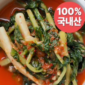 [재구매율1위]시원아삭 특급비법 전라도 열무 물김치, 1개, 2kg