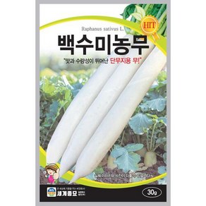 백수미농무 30g 달고 맛좋은 단무지무씨앗, 1개