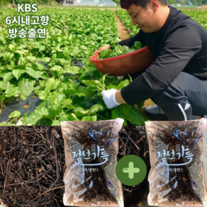 1+1 강원도 정선 건고사리 나물 해발700m 말린 마른 햇곤드레 명절나물, 2개, 200g