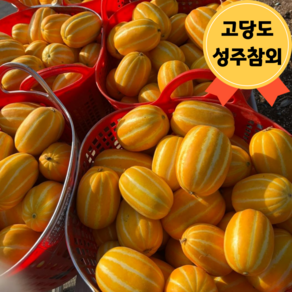테이스트 팜스 산지직송 고당도 성주 참외 가정용, 1박스, 중과 2kg(4-7과)