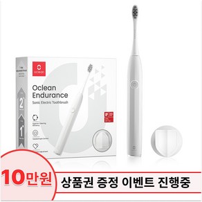 오클린 Oclean 음파 전동칫솔 Enduance 무선 진동칫솔 IPX7방수 입문 가정용, 화이트, 화이트