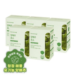 그린이너프 양배추 효소 20포, 40g, 5개