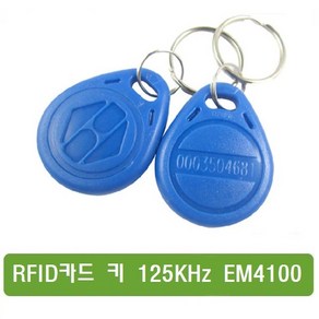 S176 RFID 카드 키 125KHZ EM4100 테그키-10pcs RF 키