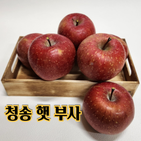 [산지직송 당도선별] 햇사과 청송 꿀 사과 2kg 3kg 5kg [가정용 정품 혼합], 1박스, 3. 가정용 5kg (중과)