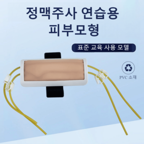 정맥주사 피부모형 채혈연습 간호사실습 세트, 단일상품-기본구성, 1개