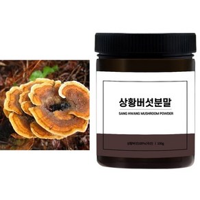 국내산 상황버섯100%분말 100g, 1개