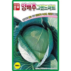 아시아종묘 그랜드마트 양배추 씨앗 500립, 1개, 상세페이지 참조, 상세페이지 참조