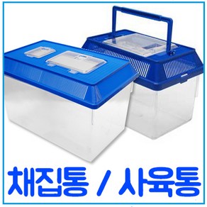 밀웜나라 채집통 소 중 대 특대 왕대, 1개