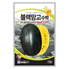 블랙망고수박 수박씨앗 10립 세계종묘, 1개