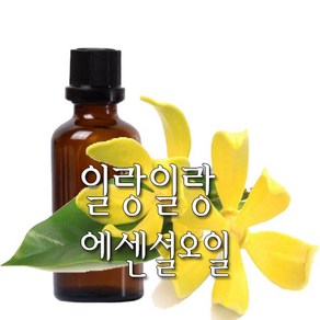 허니솝 일랑일랑 아로마 에센셜오일, 일랑일랑 에센셜오일 10ml, 1개