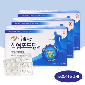 [오렌지팜] 휘트니스 식염포도당 낱개포장 나트륨 섭취 보충 간편한 PTP, 500정, 3개