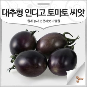 대추형 인디고 토마토 씨앗 방울 토마토 종자 10알