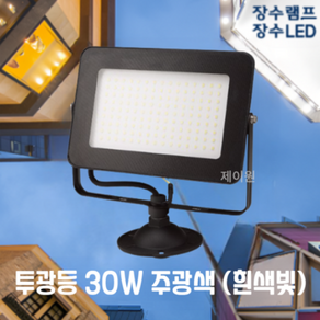 장수램프 컬러원 LED 사각 투광기 30W 흑색 주광색, 1개