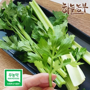 하늘농부 친환경 셀러리 200g, 1팩