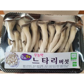 야채왕 무농약 느타리 참타리 버섯 200g 1팩 /3팩/ 5팩 /10팩 - 수도권 충청지역 팀프레시 새벽배송