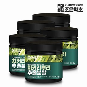 치커리 뿌리 추출물 100% 분말 가루 300g x 5