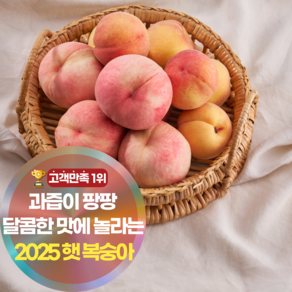 삼시세끼연구소 달콤함 터지는 햇 복숭아 신선 털복숭아, 1세트, 1kg