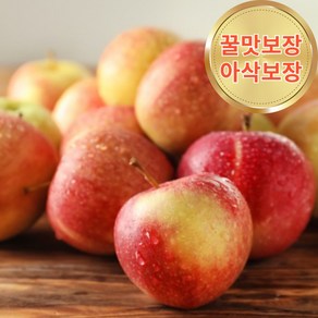 아삭아삭 달콤 청송 부사사과, 1박스, 아삭달콤 부사사과 중과 3kg