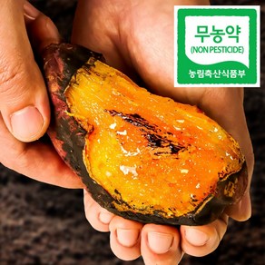 제철에 진심 해남 꿀고구마 베니하루카, 1박스, 중상(60-140g) 5kg