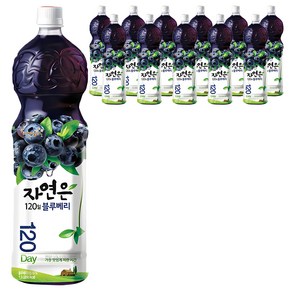 자연은 블루베리 주스, 1.5L, 12개