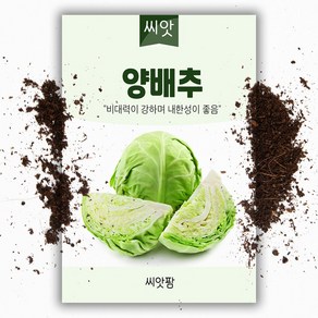 씨앗팜 양배추씨앗 (200립) 양배추씨 종자