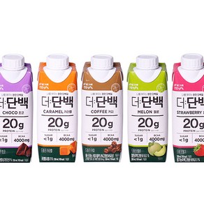 빙그레 더단백 5종 드링크 초코6 커피3 카라멜3 딸기3 메론3, 250ml