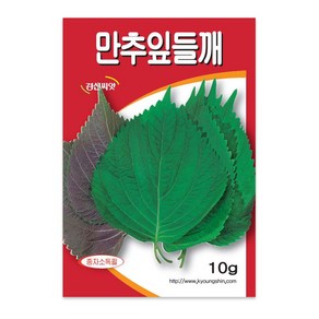 (씨앗) 만추잎들깨 - 깻잎 - 쌈용 들깨 - 잎채소 - 쌈채소 - 깻잎 씨앗 종자 - 소포장 - 10g, 1개