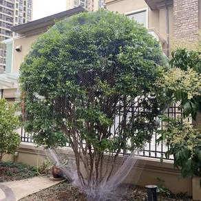 블루베리 그물망 과수원 보호 펜스 새그물 10mx10m2 0메쉬 3m나무에적합 까치망, 3 폭 6mx6m [높이 1.8m 과수 적용], 1개