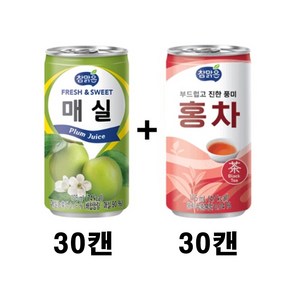 대일 참맑은 매실 175ml 30개 + 대일 홍차 175ml 30개, 60개