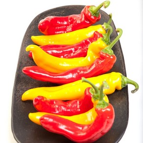 매장정품자연에더 고당도 파프리카 트리벨리 1.2kg 38919, 1개