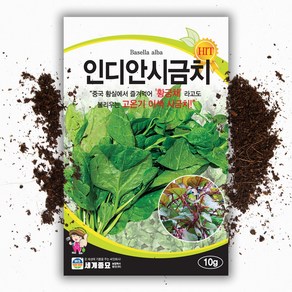 인디언 시금치씨앗(10g), 1개