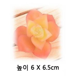 다육이 조화 다육 (중)-13번 1개 인조 인테리어 선인장 조화다육이