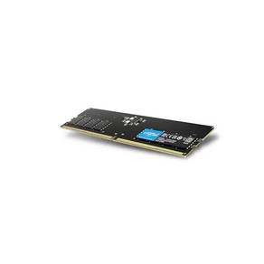 마이크론 마이크론 Cucial DDR5-5600 CL46 (16GB)