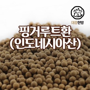 대흥한방 핑거루트환 150g 인도네시아산, 1개