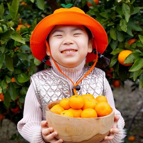 제주 서귀포발송 초고당도 제철 노지 감귤, 1박스, 4.5kg(소과)