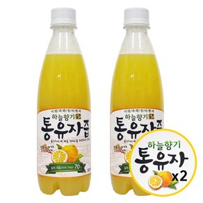 하늘향기 통유자즙 500ml 2개입, 2개