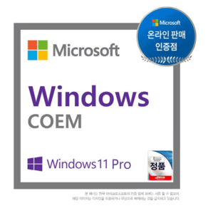 윈도우 11 프로 64bit DSP 한글 설치 제품키, windows 11 pro dsp