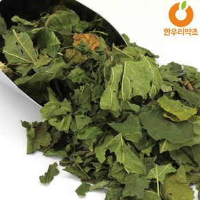 오디잎차 400g 국산 티백 뽕잎차 효능, 뽕잎차30티백, 30g, 1개