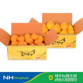 제농협 귤로장생 제주 햇 레드향 2kg + 한라봉 / 총4kg, 없음, 1개