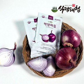 식탐대첩 복길농원 즙업 적양파즙 100mlx30포, 100ml, 30개