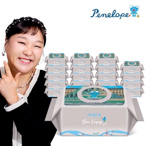 페넬로페 본보야지 루브르 아기물티슈 캡형, 70g, 70매, 20개