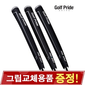 GOLF PRIDE 골프프라이드 프로온리 퍼터그립, [선택2] 86R-블랙/블루 - 81cc, 1개