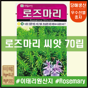 아람종묘 로즈마리 씨앗 70립- 이태리산 rosemary seeds 다년생허브