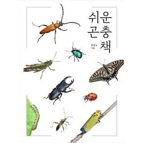 쉬운 곤충책