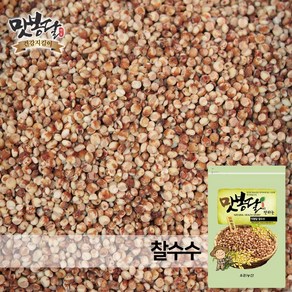 맛봉달 햇 24년산 특찰수수 붉은찰수수 수수밥 찰수수쌀 수입산, 1개, 500g